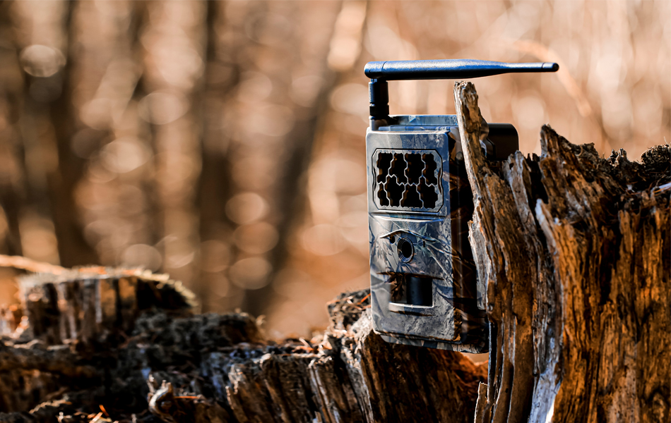 trail cameras on tree faq